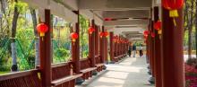 万绿湖风景区21