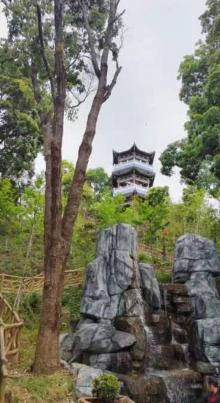 万绿湖风景区12