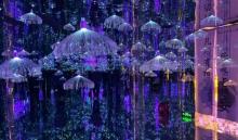 梦幻星空馆4