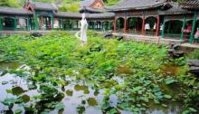 平湖秋月6