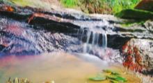 石溪公园10