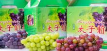 顺德太子休闲农庄2