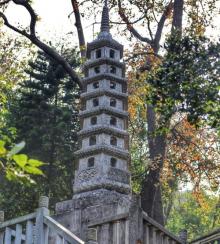 枫林白塔2