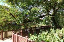 滨江东公园6