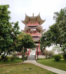 飞马公园4
