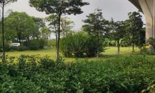 番村立交湿地公园2