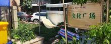 茶蛐麓迳缜-文化广场1