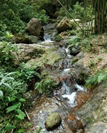 羚羊峡古栈道森林公园19