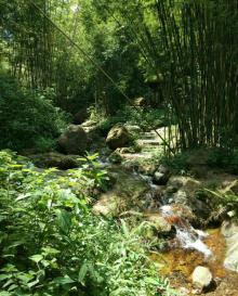 羚羊峡古栈道森林公园21