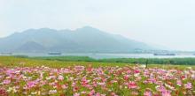 羚羊峡古栈道森林公园27