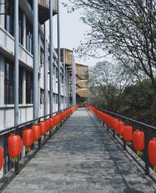 对川问茶长廊1