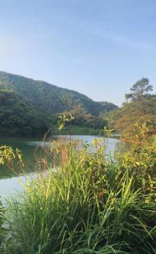 大西坑公园15