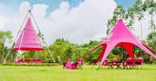 米嘉营地 Mega Camp6