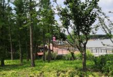 左岸公园6