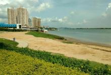 西江河堤公园2