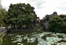 桑基鱼塘生态农业体验区4