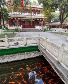 碧江荫老园16
