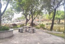西南公园6
