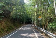 三水区大南山森林公园2
