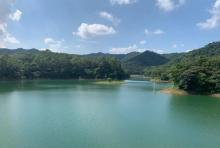 三水区大南山森林公园3