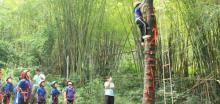 山湖森林露营地8