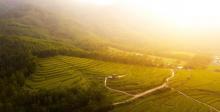 皂幕山旅游风景区1