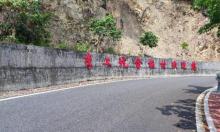 李工坑村5