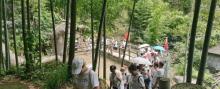 德寿山旅游区5