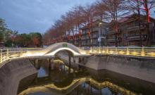 横沥文化广场1