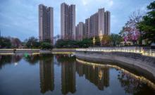 横沥文化广场3