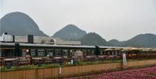连州沙坊美丽田园5