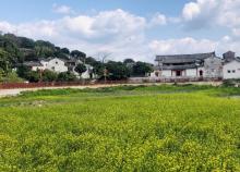 狮峰村白鹭湖3