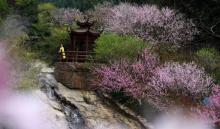 双田三月三景区2