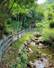 双田三月三景区3