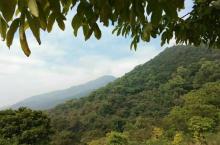 北岭山森林公园5
