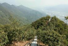 北岭山森林公园2
