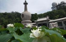 青云岩11