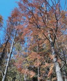 会城石涧公园大石头风景区19