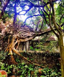 邓边村4