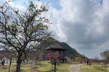 桃花岛1