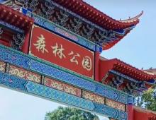 大余县市民森林公园1