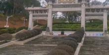 紫金公园1