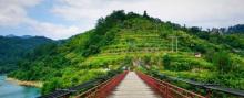 黄草镇金牛岛12