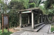镇山国家森林公园4