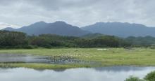寻皇千岛湖6