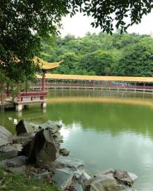 旭山公园4