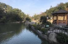 金寿生态园20
