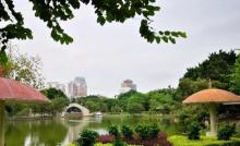金砂公园12