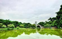 金砂公园4
