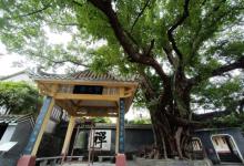 梅庵6